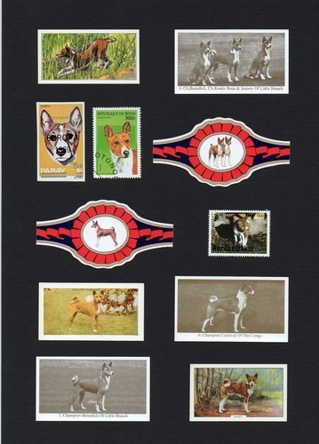 Basenji mounted set vintage - basenji,