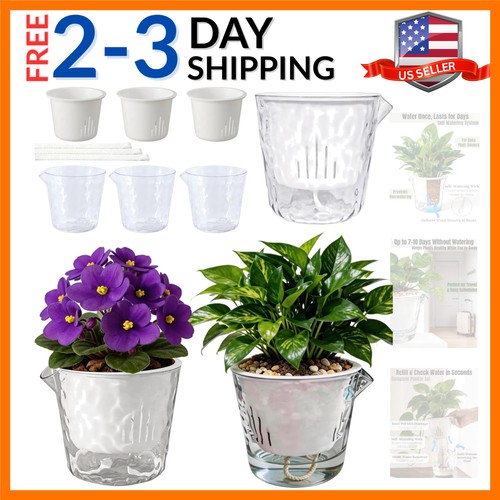 Pack clear self - 3-pack,