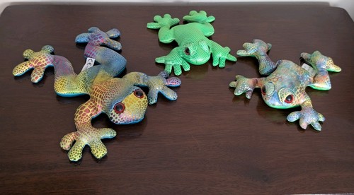 Bundle tree dart frogs sand - of,