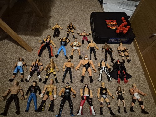 Wcw toybiz figure lot 24 - figure,