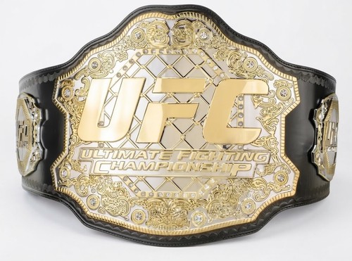 Ufc ultimate fighting - ultimate,