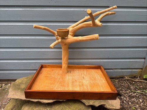 Parrot java tree perch - parrot,