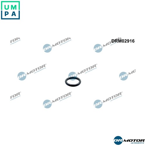 Gasket oil outlet - oil,