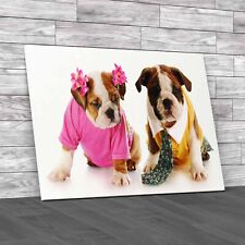 Fashion English Bulldog Puppies Girl Boy Canvas Print Large Picture Wall Art