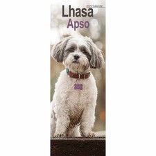Lhasa Apso Slim Calendar 2026