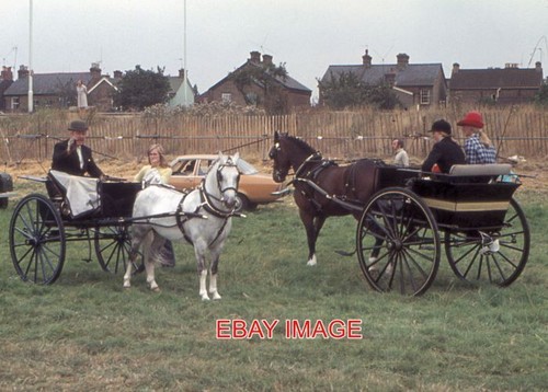 Photo couple horse carts - ,