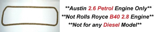 Austin champ - austin, (2660