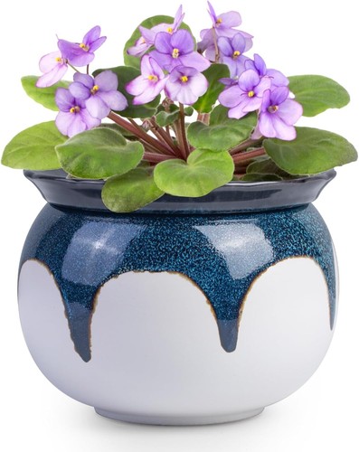 African violet pots inch - african, pots,