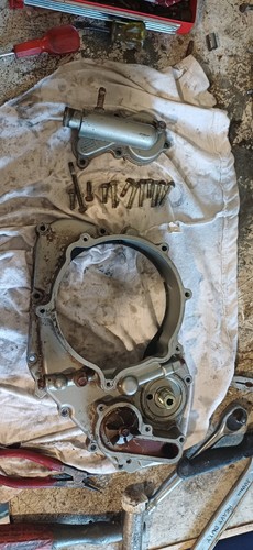 Apache rlx450 complete clutch - ,