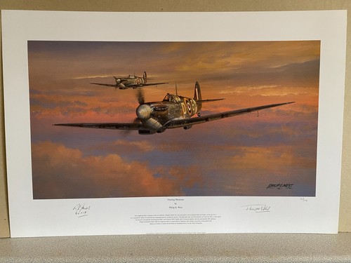 Spitfire aviation art print