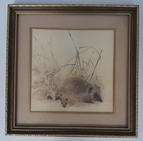 Mads stage framed hedgehog - framed,