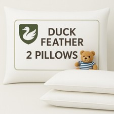 Duck Feather & Down Pillows
