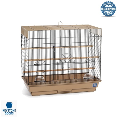 Small bird flight - flight, cage