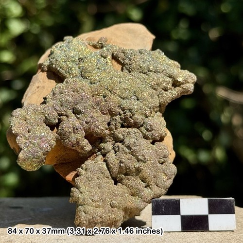 Rare rainbow pyrite - rare, mine