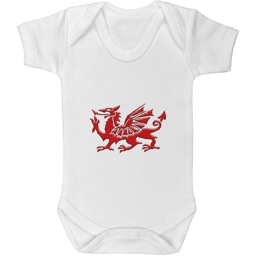 Welsh dragon baby grows - baby,
