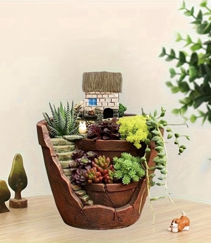 Succulent planter french - succulent,
