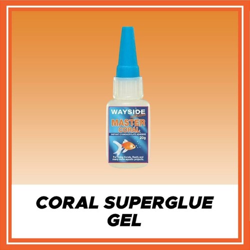 Coral fragging aquarium fish - aquarium,