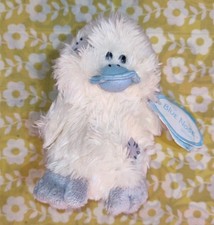 You bear blue nose - to,