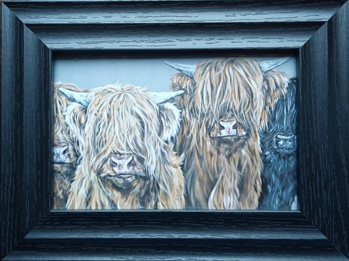 The highlanders framed - the, highlanders!