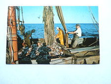 Cape Cod MA- Massachusetts