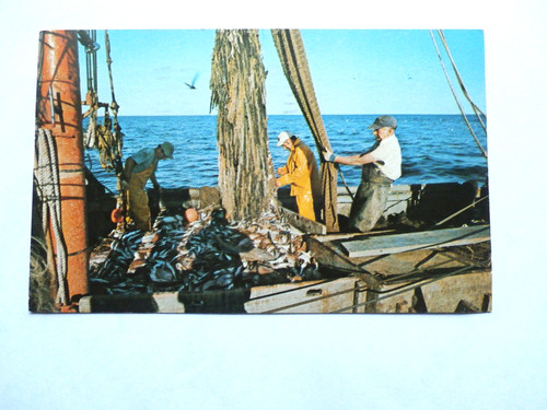 Cape cod massachusetts - cape,