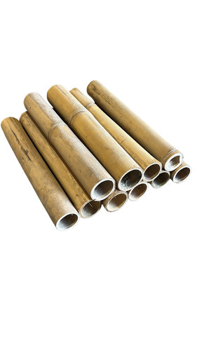 Natural apus bamboo - pole, 6-8