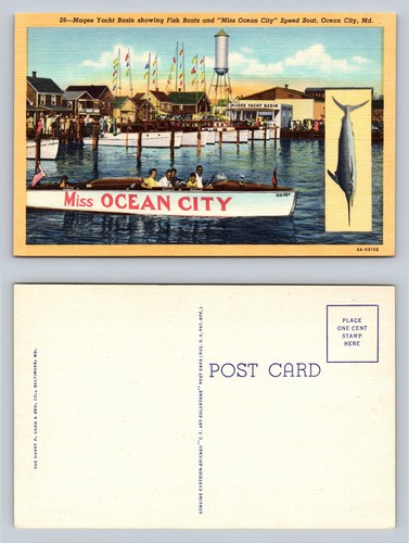 Miss ocean city - postcard, magee
