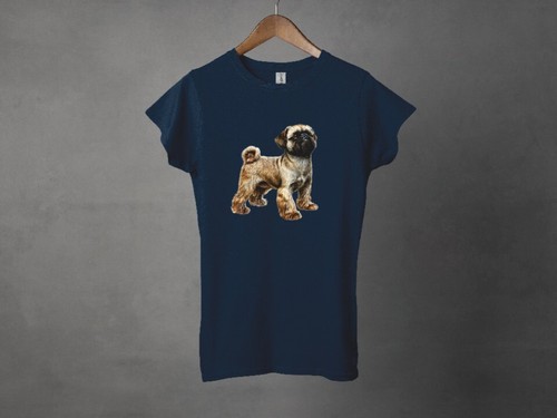 Brussels griffon ladies - brussels,