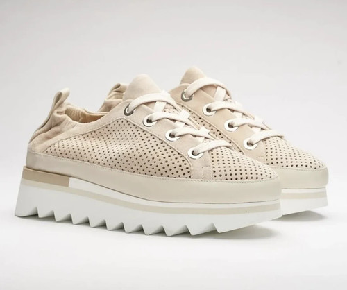 Softwaves bliss platform - bliss,