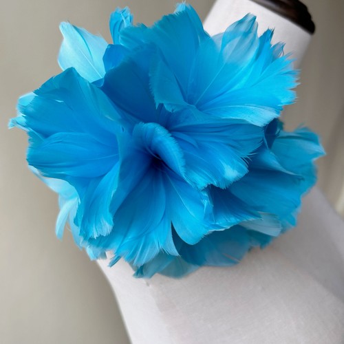 Dyed feathers twisted - dyed,