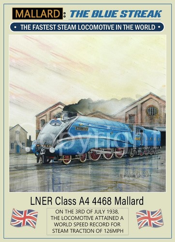 Mallard steam train - steam,