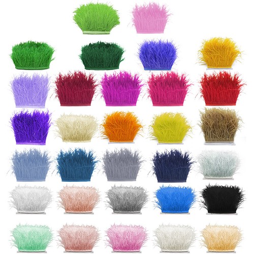 Colours quality ostrich - quality,