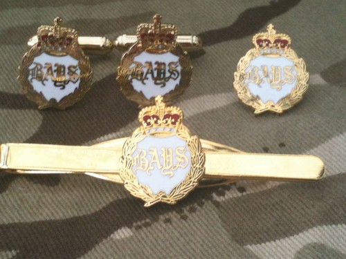 Queens bays regiment - bays,