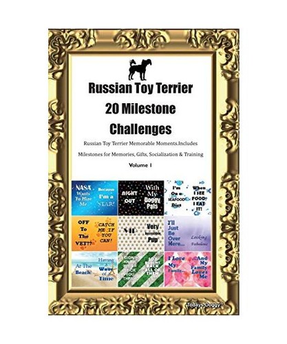 Russian toy terrier russkiy - toy, [russkiy