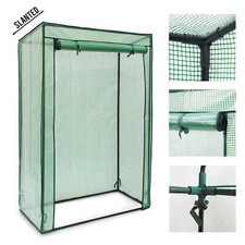 Outdoor Garden Tomato Plant