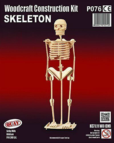Skeleton woodcraft - skeleton,