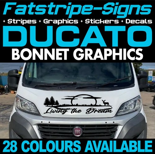 Fits fiat ducato graphics - ducato,