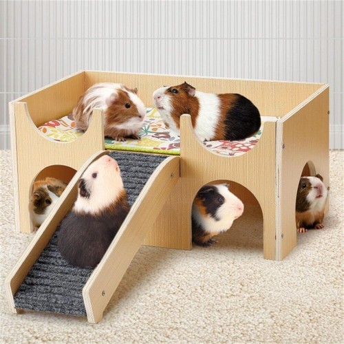 Guinea pig castle - pig,