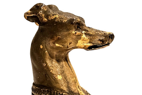 Vienna bronze whippet - bronze, dog