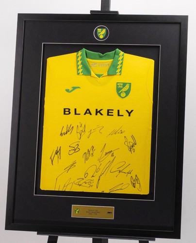 Norwich city squad - city,
