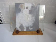 Art Deco Wooden & Glass Photo