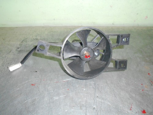 Piaggio b125 beverly - , rad