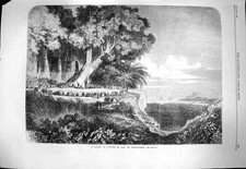 Original Old Antique Print