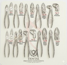 Dental Extraction Forceps Set