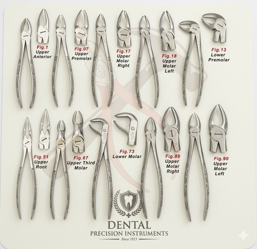 10pc dental extraction forceps - dental,