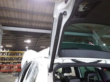 Boot Or Tailgate Support Strut