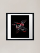 Laser Loon Calm Waters Laser