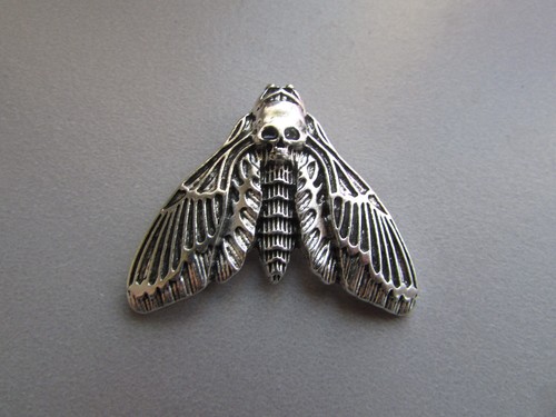 Deaths head moth - moth, charm