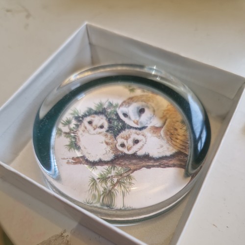 Jorvik paperweight owls york - owls,