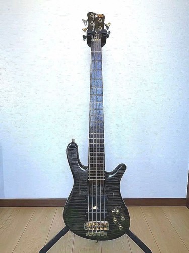 Warwick streamer electric - streamer, /